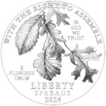 2024 American Eagle Platinum Proof Coin Line Art Obverse